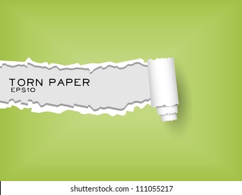 torn paper - green colour