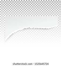 Torn paper holes. Hole in the sheet of paper on a transparent background for web and print