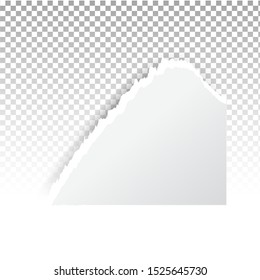 Torn paper holes. Hole in the sheet of paper on a transparent background for web and print