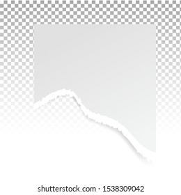 Torn paper holes. Hole in the sheet of paper on a transparent background for web and print