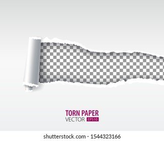 Torn paper holes. Hole in the sheet of paper on a transparent background for web and print