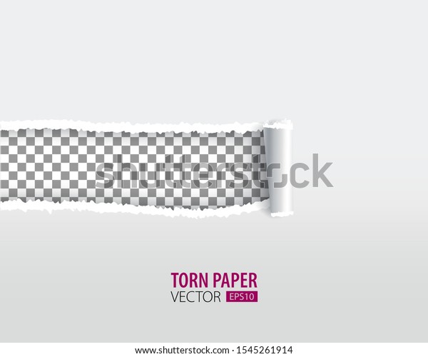 Torn paper holes. Hole in the sheet of
paper on a transparent background for web and
print