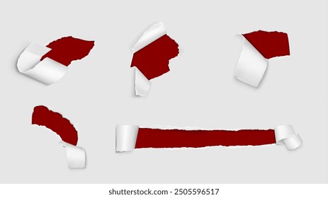 Torn paper holes with roll. Realistic vector illustration set of rip page frames. Reveal break cardboard sheet with grunge ragged edges with parchment scroll. Text and advertising message box.