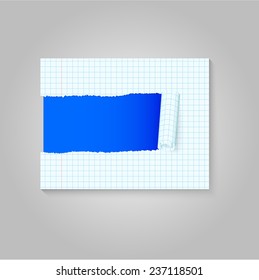 Torn paper. Isolated sheet in cells. Vector