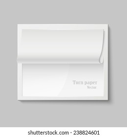 Torn paper. Isolated sheet into the cell. Vector