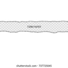 Torn paper isolated in transparent background, picture design representing text sample and piece of document vector illustration realistic design