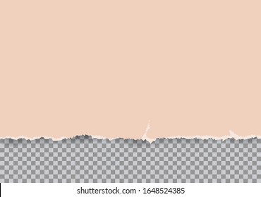 Torn paper list. Folded paper, grungy old paper. Vector Transparent illustration.