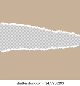 torn paper mock up blank space vector illustration