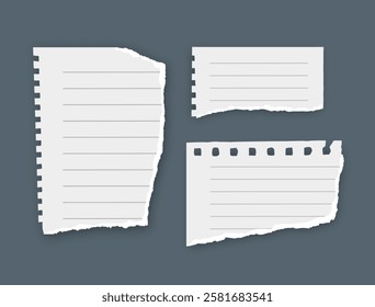 Torn paper, notebook sheets, torn page, vector illustration