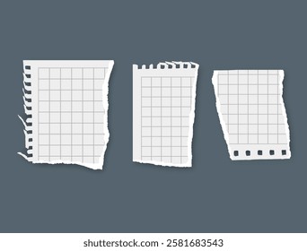 Torn paper, notebook sheets, torn page, vector illustration