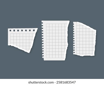 Torn paper, notebook sheets, torn page, vector illustration