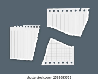 Torn paper, notebook sheets, torn page, vector illustration