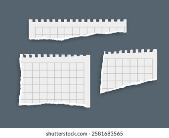 Torn paper, notebook sheets, torn page, vector illustration