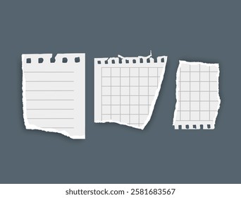 Torn paper, notebook sheets, torn page, vector illustration