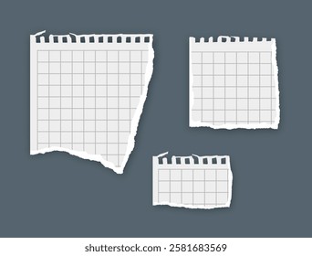 Torn paper, notebook sheets, torn page, vector illustration