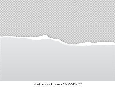 Torn paper on transparent background with space for text. Vector illustration.