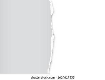 Papel desgarrado sobre fondo transparente con espacio para texto. Ilustración vectorial.