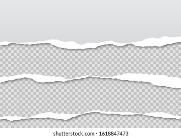 Torn paper on transparent background with space for text. Vector illustration.