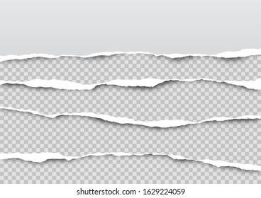 Torn paper on transparent background with space for text. Vector illustration.