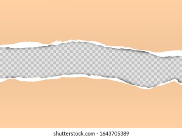Torn paper on transparent background with space for text. Vector illustration.