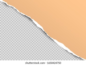 Torn paper on transparent background with space for text. Vector illustration.