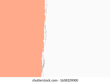 Papel desgarrado sobre fondo transparente con espacio para texto. Ilustración vectorial.