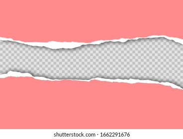 Torn paper on transparent background with space for text. Vector illustration.