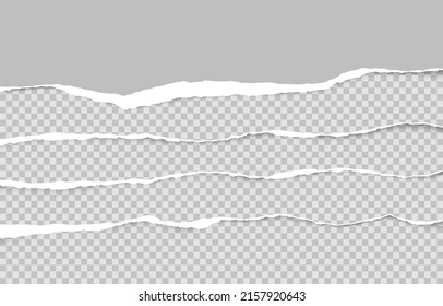 Torn paper on transparent background with space for text. Vector illustration.