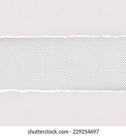 Papel roto sobre fondo transparente. Plantilla de diseño, vector