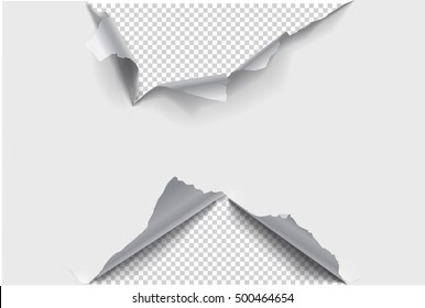 Torn paper on a transparent background. Vector illustration.