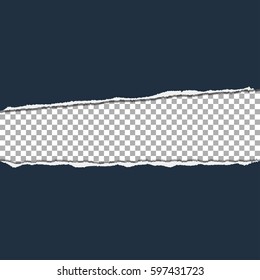 Torn paper on transparent background. Vector illustration