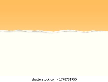 Torn paper on white background with space for text. Vector illustration.
