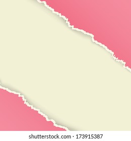 The torn paper / The piece of blank torn paper / The torn paper background 