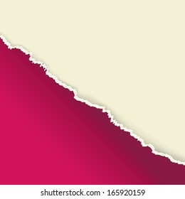 The torn paper / The piece of violet blank torn paper / The torn paper background 