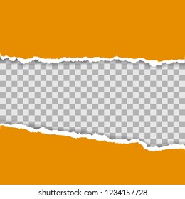Torn paper pieces background with space for your text. Paper with ripped edges