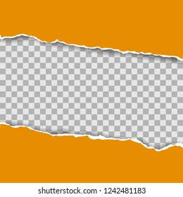 Torn paper pieces background with space for your text. Paper with ripped edges