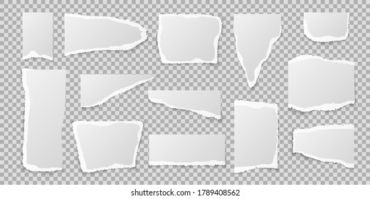 Piezas de papel rotas. Bordes de página realistas, hoja de bloc de notas cuadrado blanco lacerado en blanco en blanco o en blanco en forma y tamaño diferentes, ilustración aislada vectorial en fondo transparente