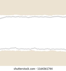 Torn paper pieces. Paper with ripped edges and white background for text. Vector illustration.