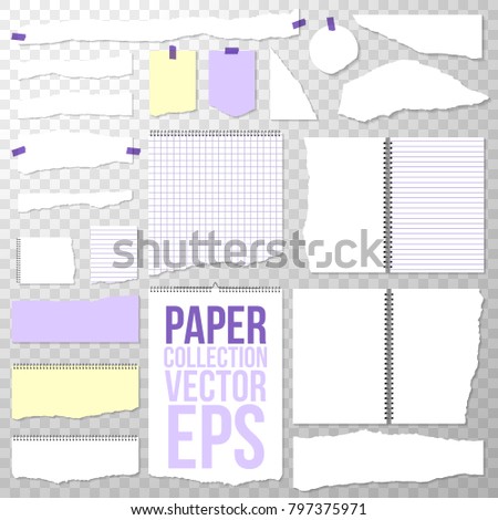 Torn Paper Pieces from Spiral Bound Notebook. Clean or Blank Pages Isolated on Transparent Background. Torn off Binder White, Squared and Lined Papers. Yellow and Purple Color.