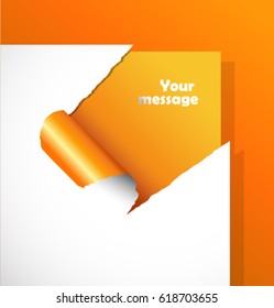 Torn paper with place for your own text.