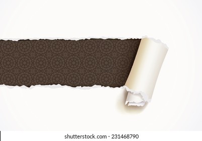 Torn Paper, ready for your message. Top view. Vector illustration. Isolated on white background