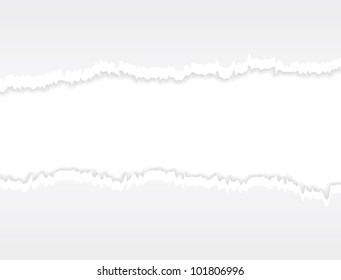 Torn paper. Realistic horizontal commercial vector background.