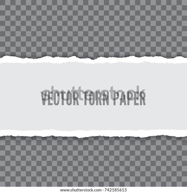 Torn paper realistic vector\
banner isolated on transparent background. Paper strip with teared\
edges