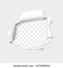 Torn paper realistic vector, hole in the sheet of paper isolated on transparent background.