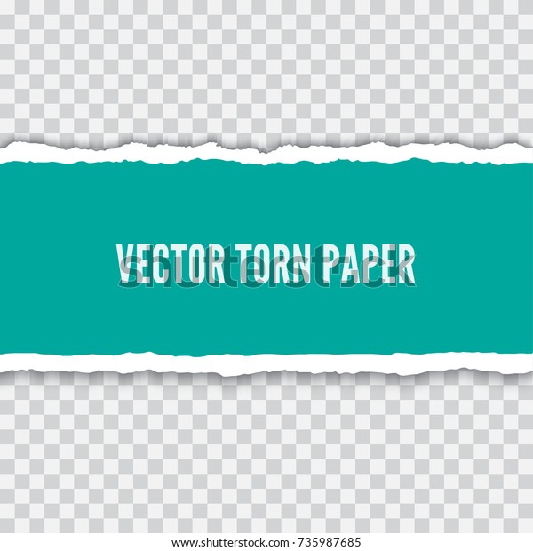 Torn paper realistic vector\
illustration. Paper strip with torn edges and space for\
text