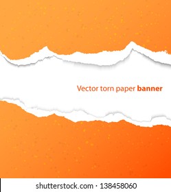 Torn paper rectangle banner with drop shadows. Vector illustration