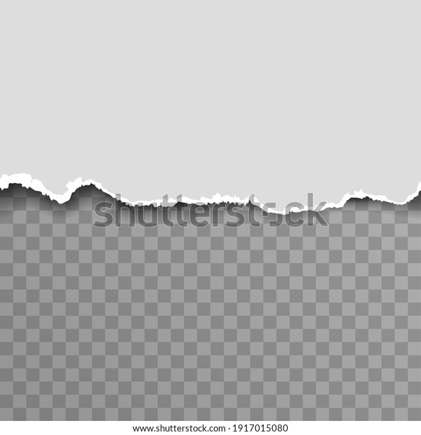 Torn paper ripped blank transparent\
template background advertising vector\
illustration