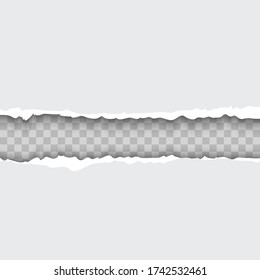 Torn paper with ripped edges realistic vector illustration