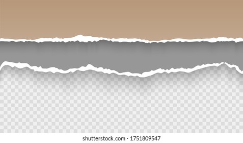 Torn paper with ripped edges realistic vector illustration