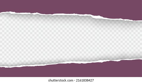 Torn paper with ripped edges realistic vector with space for text. Template design for banner for web and print, sale promo, advertising and presentation.